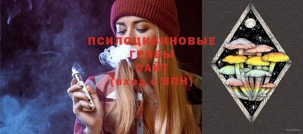 сатива Арсеньев
