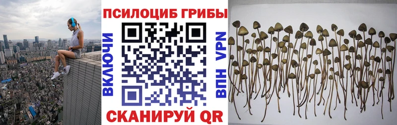 где найти наркотики  Гагарин  Галлюциногенные грибы GOLDEN TEACHER 